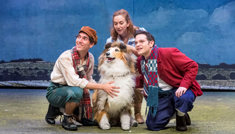 לאסי- תאטרון מדיטק